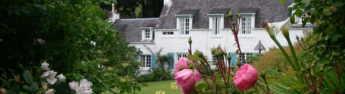 Seil Island Online