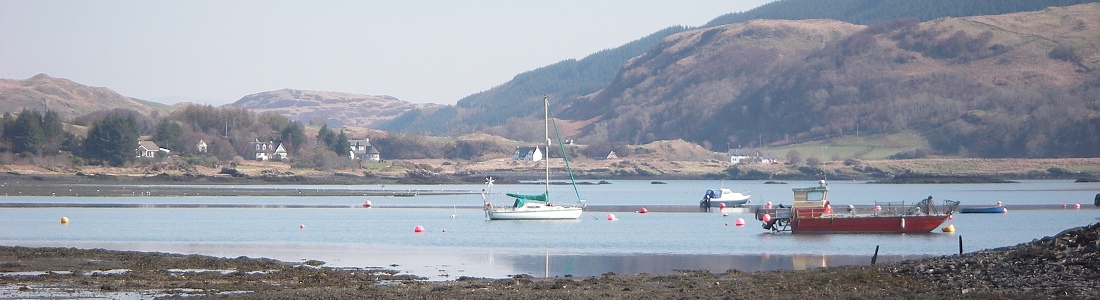 Seil Island Online
