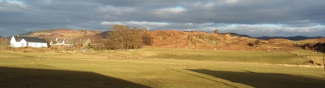 Seil Island Online