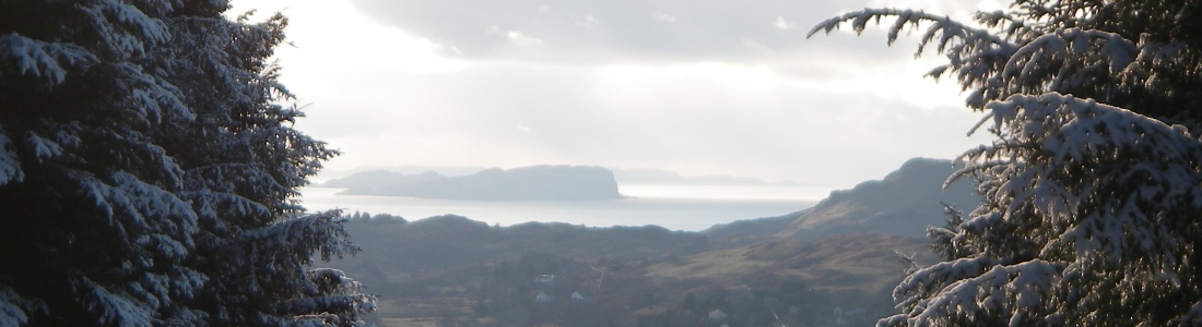 Seil Island Online