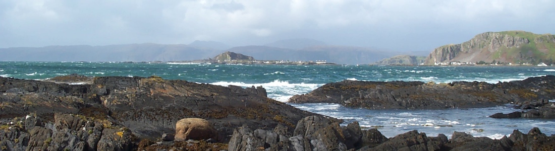 Seil Island Online